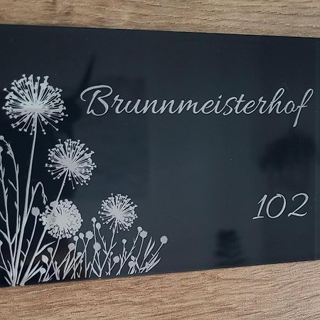 Apartments Brunnmeisterhof 萨尔茨堡 外观 照片
